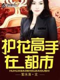 护花高手在都市
